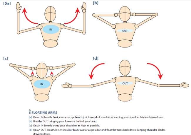 Ejercicios estiramientos